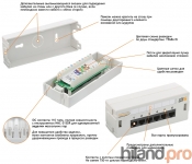 - NIKOMAX, , 6 , .6, RJ45/8P8C, 110, T568A/B, , -